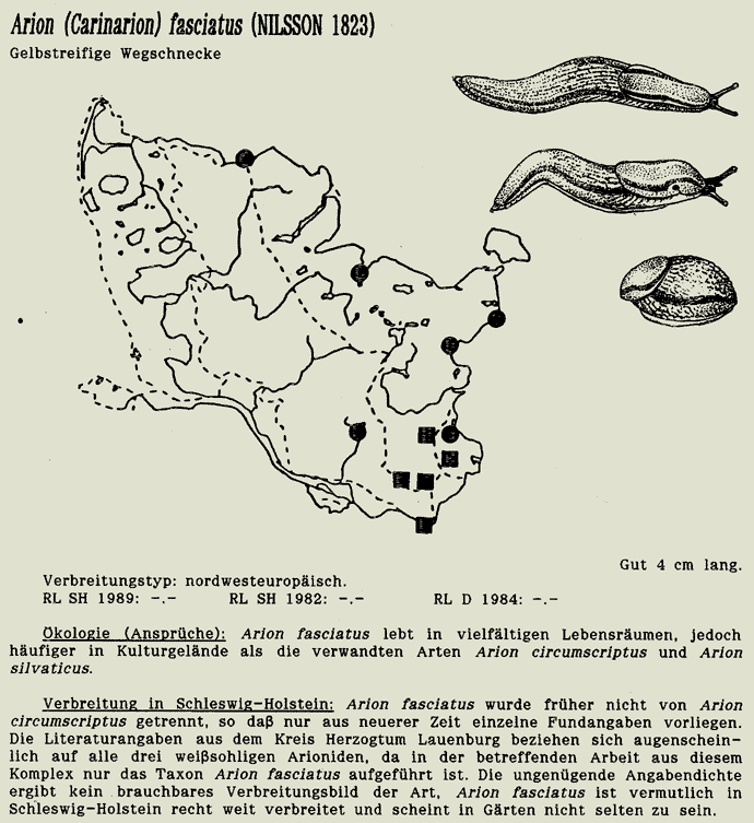 map c LANU-Schleswig-Holstein       drawing  c Projektgruppe Molluskenkartierung 
