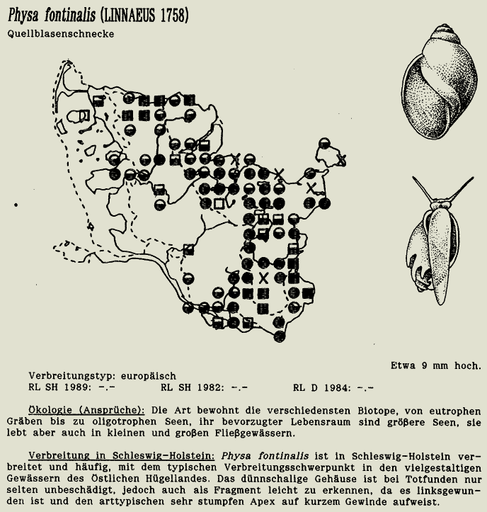 map c LANU-Schleswig-Holstein       drawing  c Projektgruppe Molluskenkartierung 