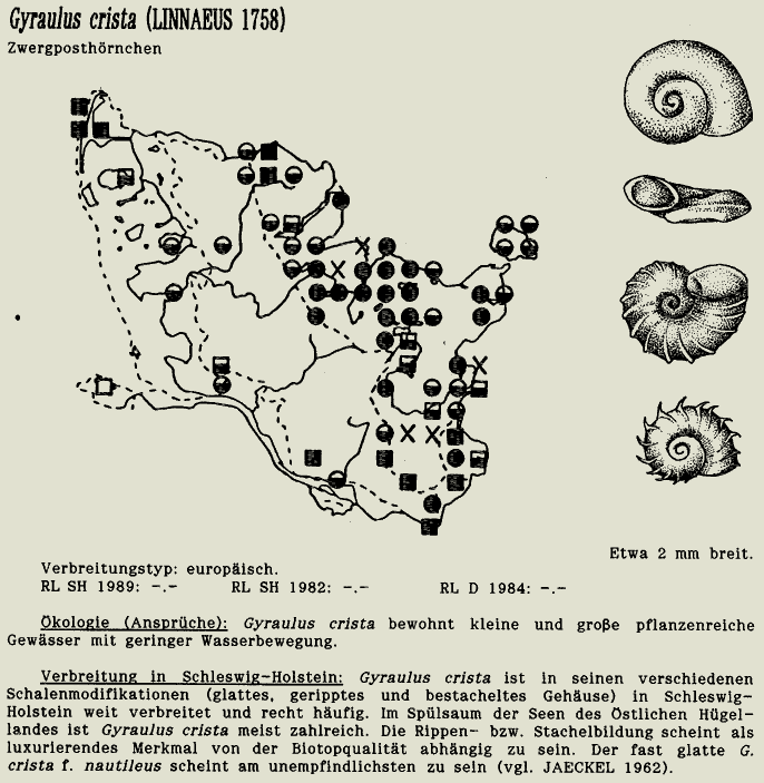 map c LANU-Schleswig-Holstein       drawing  c Projektgruppe Molluskenkartierung 